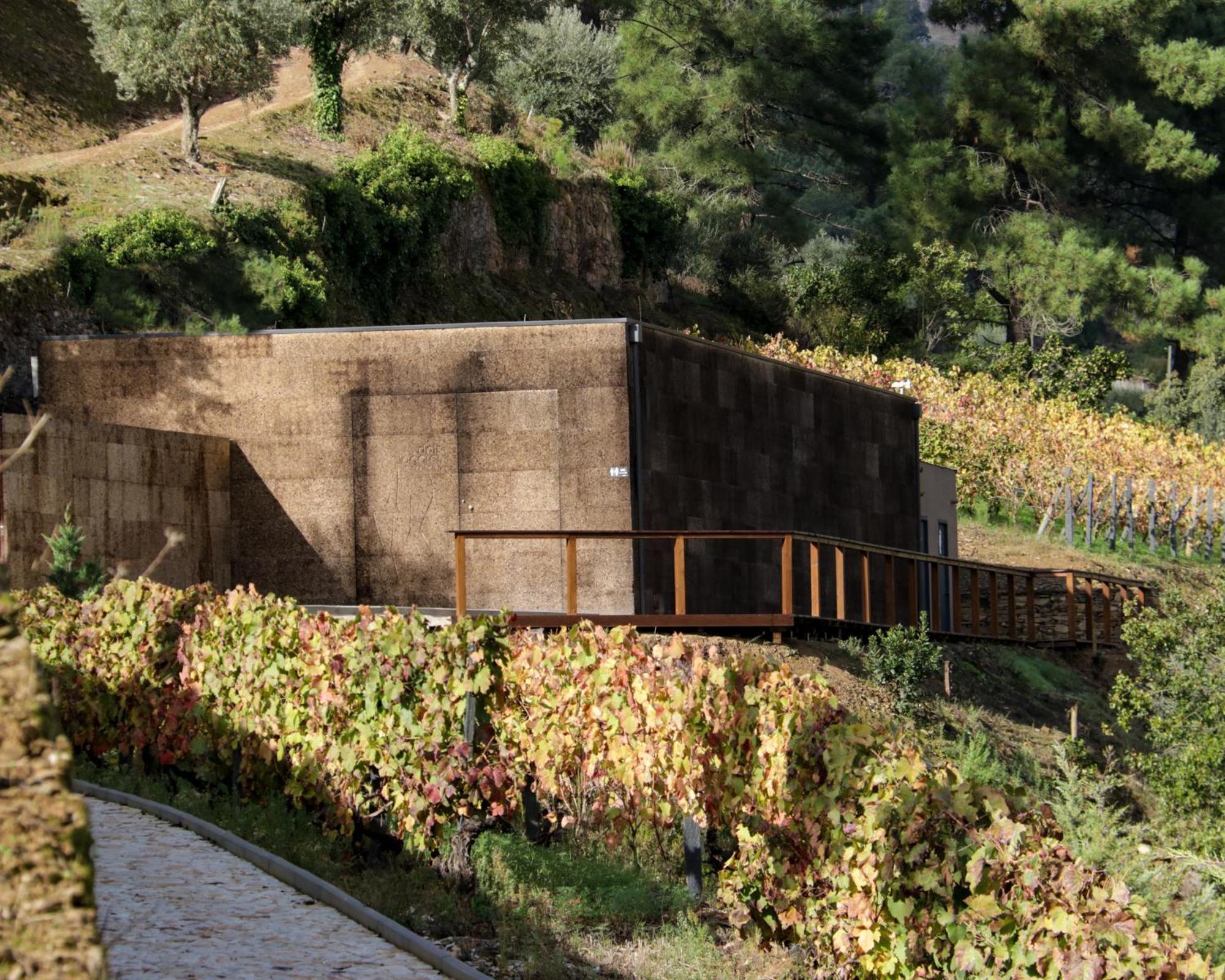 Dois Lagares House Bed & Breakfast Pinhao Exterior photo